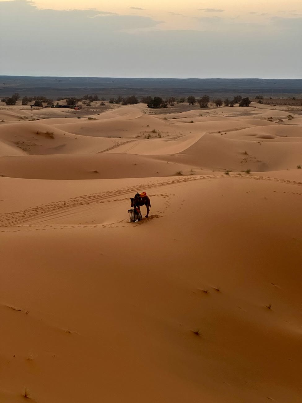 Best Company for Morocco Tailor Made Tours 2026