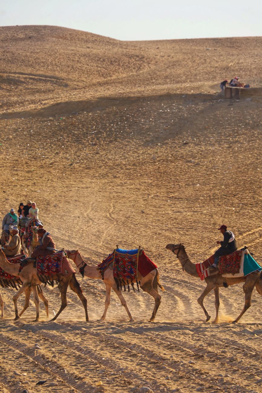 Quad bike and camel tour across the Agafay Desert with Eddyafa Travel