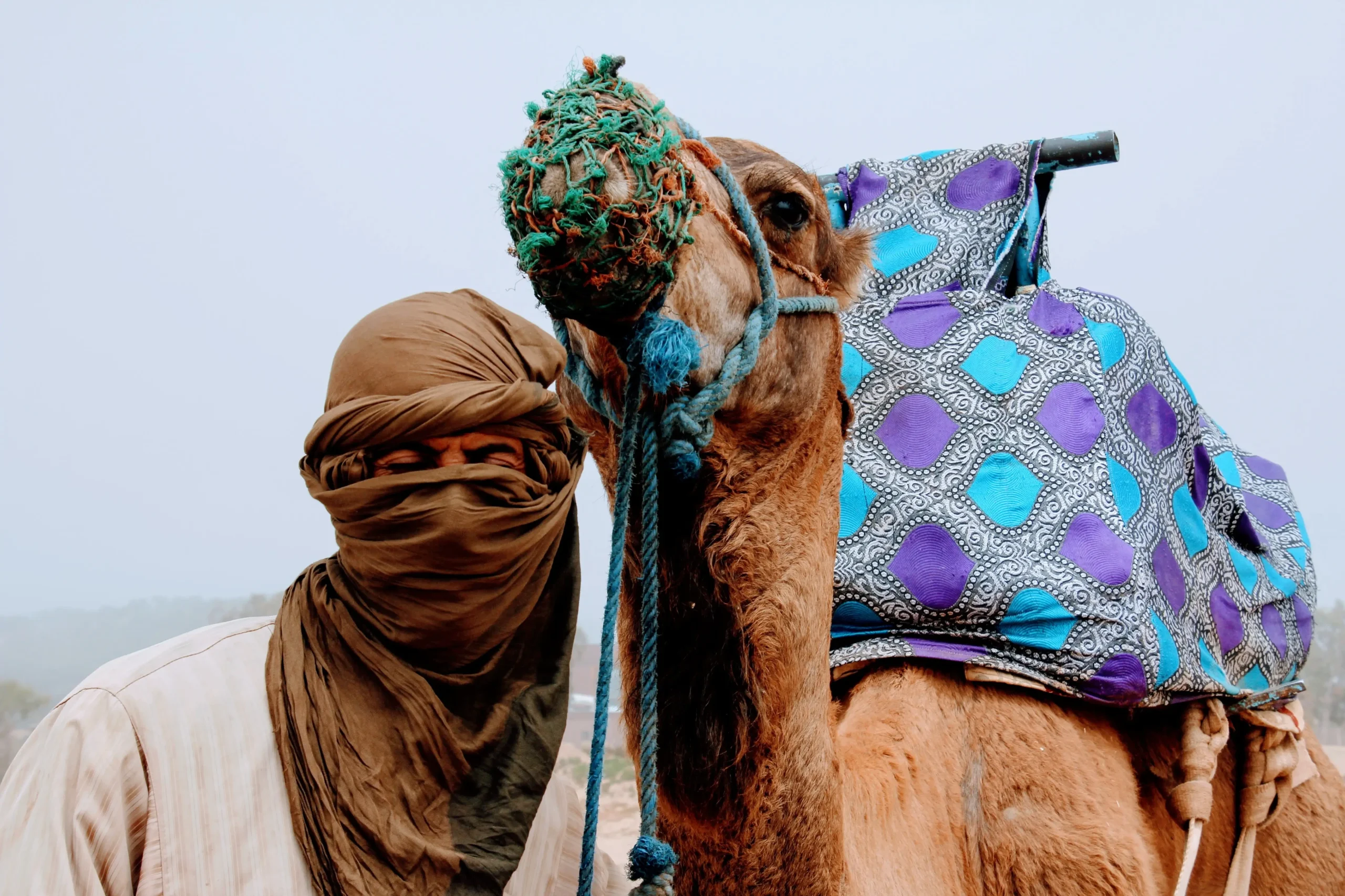 Majestic 7 Day Trekking in Morocco Desert Expedition from Marrakesh — 2