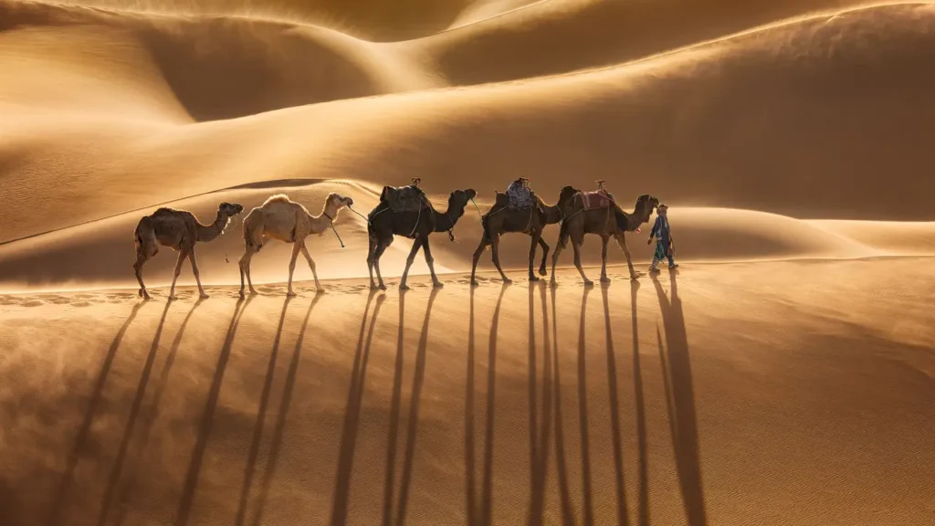 Morocco Tours 2026