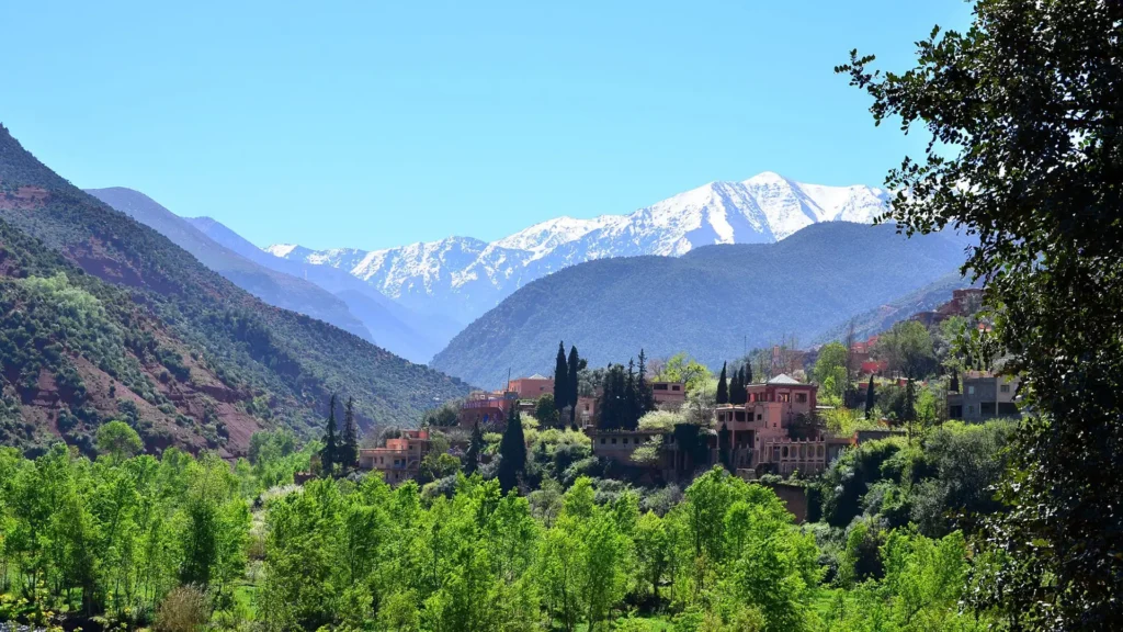 Enchanting Ourika Valley Day Trip from Marrakech with Waterfalls