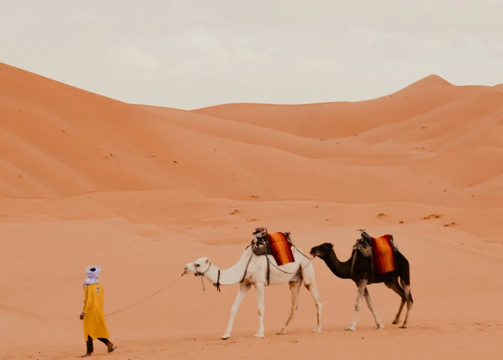 Seasonal travel in Morocco
