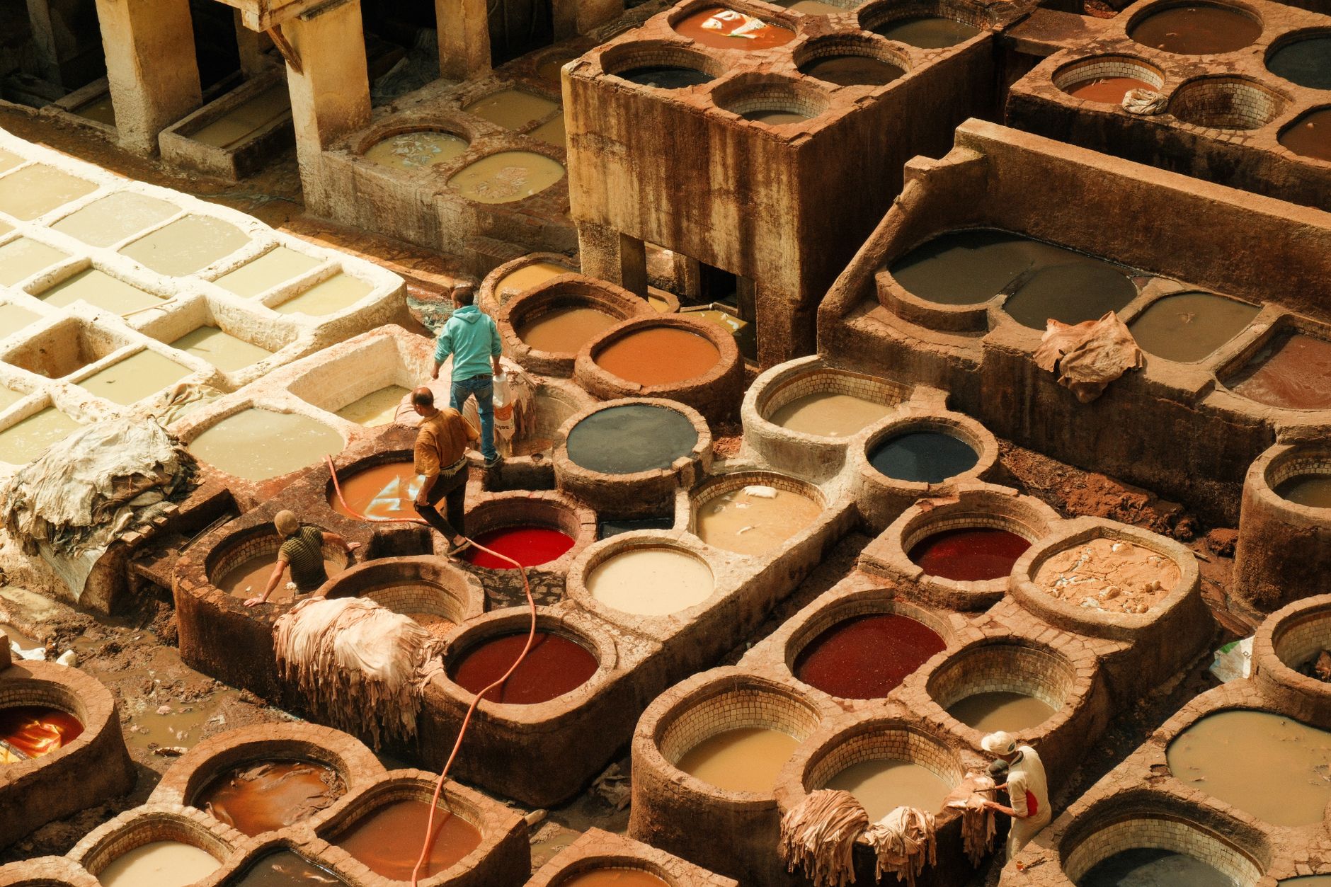 Best Things to Do in Fez: Top 10 in 2026