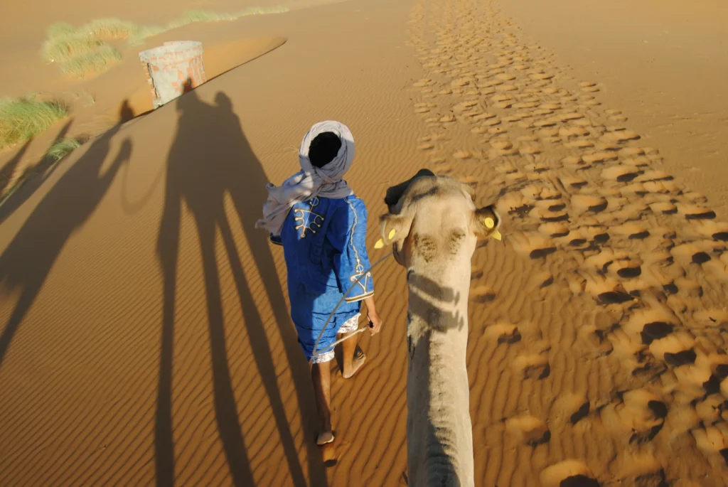 Majestic 7 Day Trekking in Morocco Desert Expedition from Marrakesh