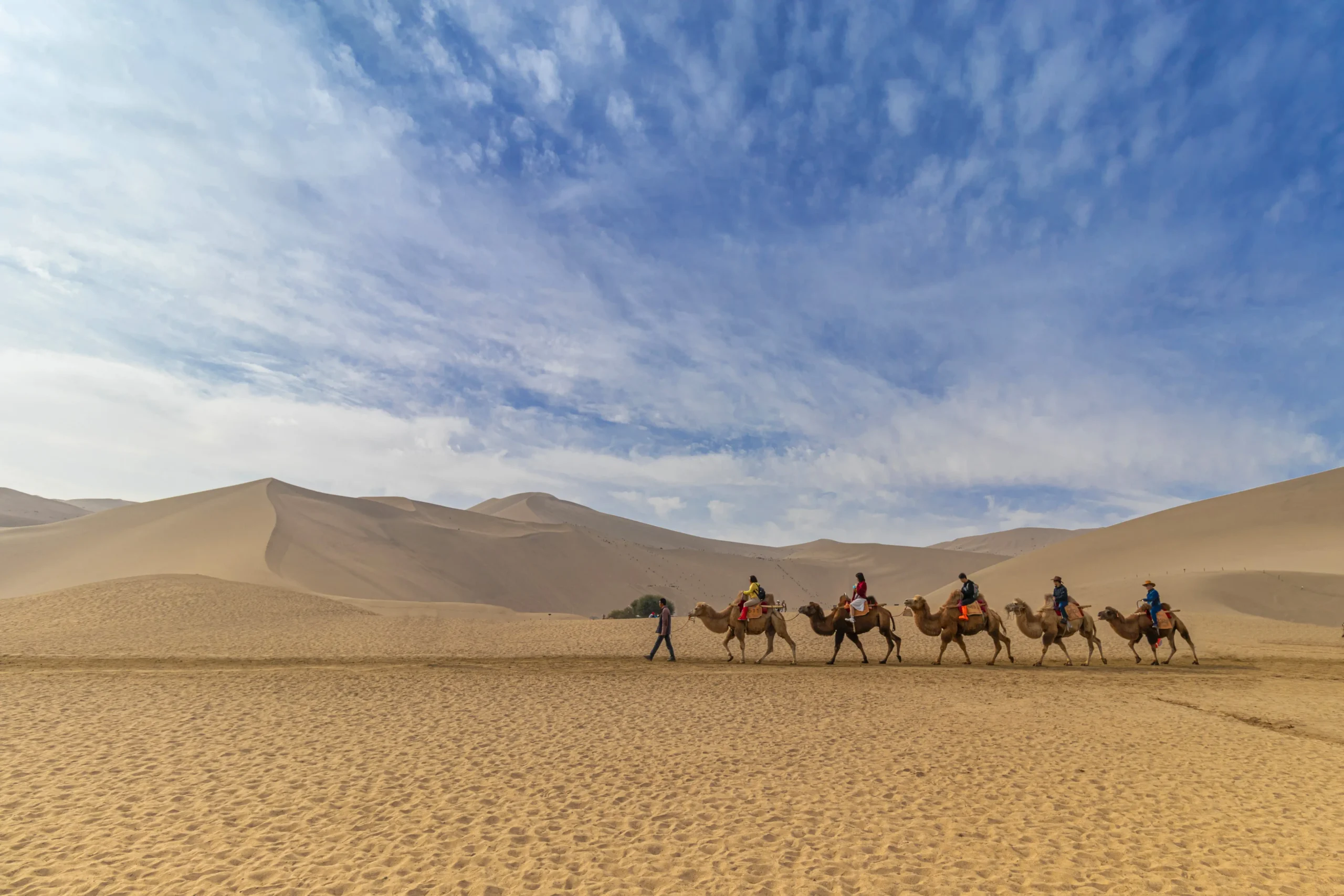 A camel caravan crossing the dunes of Merzouga