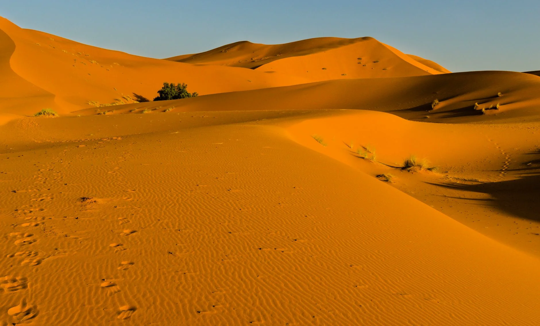 Enchanting Ourika Valley Day Trip from Marrakech with Waterfalls — 3