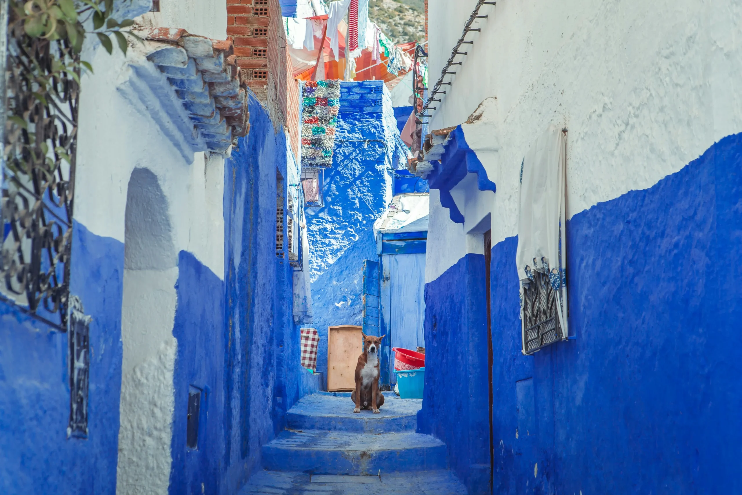 Captivating Morocco 5 Day Itinerary From Casablanca to Marrakech — 2