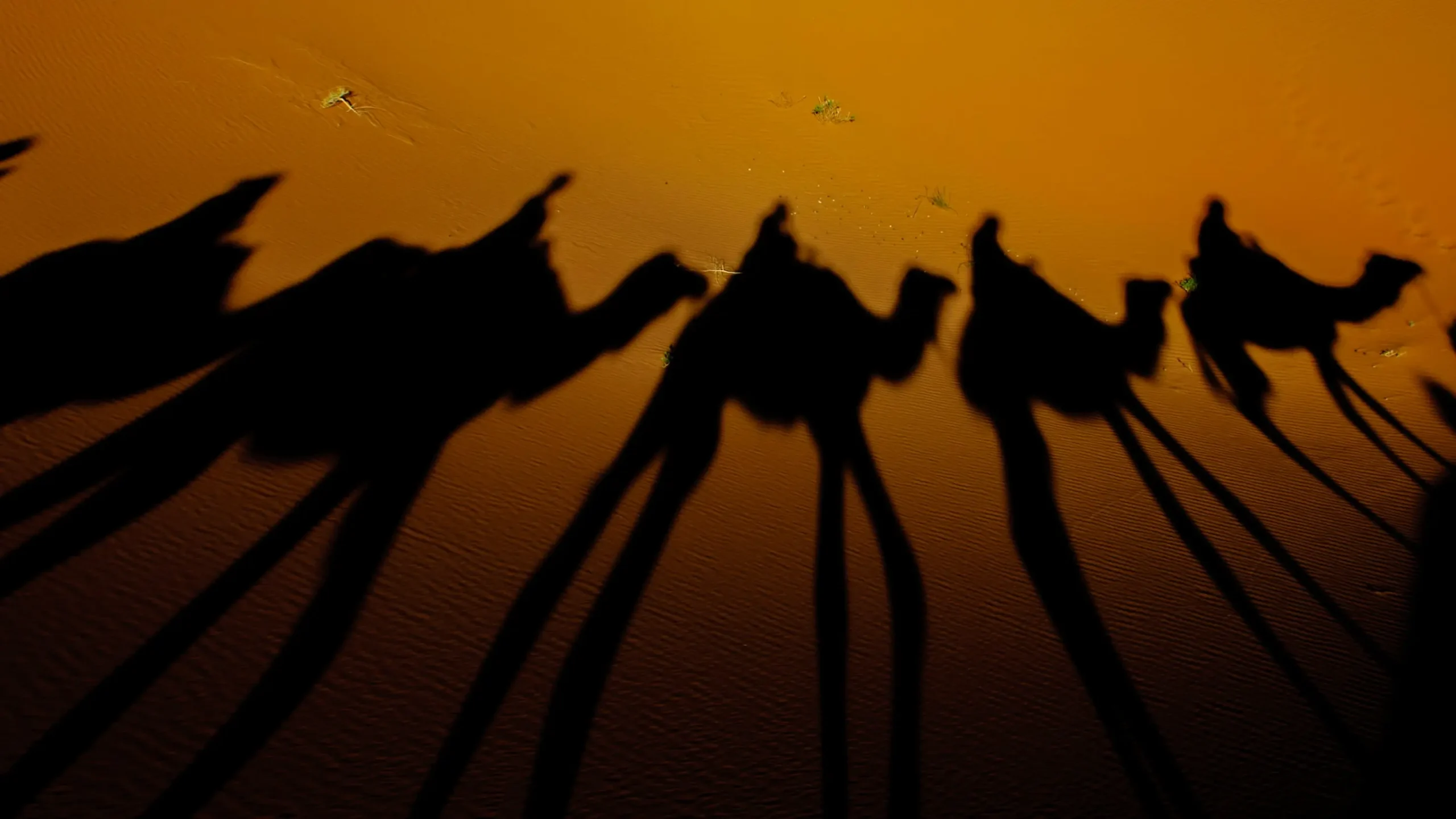 Majestic 7 Day Luxury Morocco Tour Exploring Culture and Sahara dunes — 5