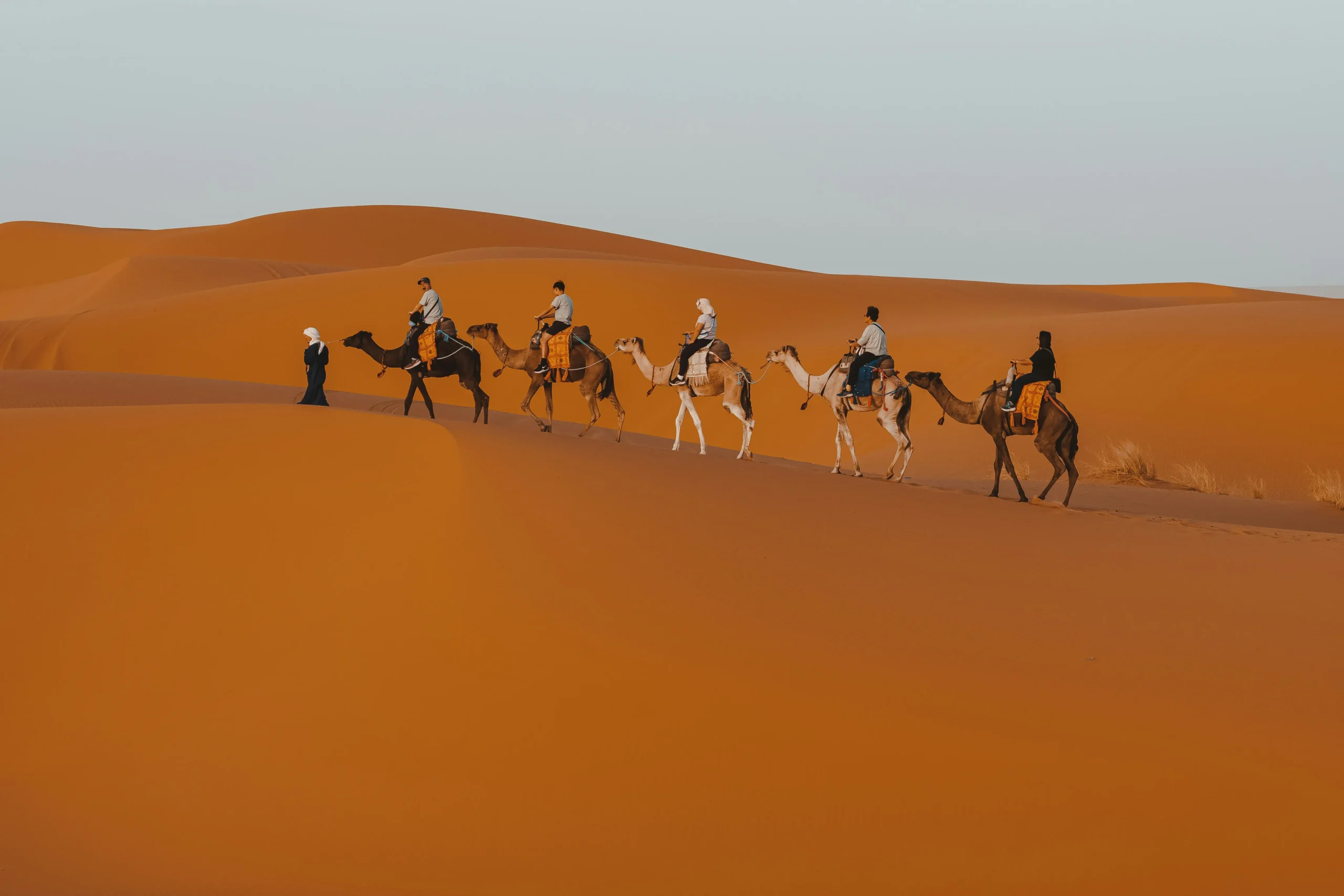 Magical 7 Day Morocco Travel Itinerary from Casablanca With Hidden Local Gems — 7