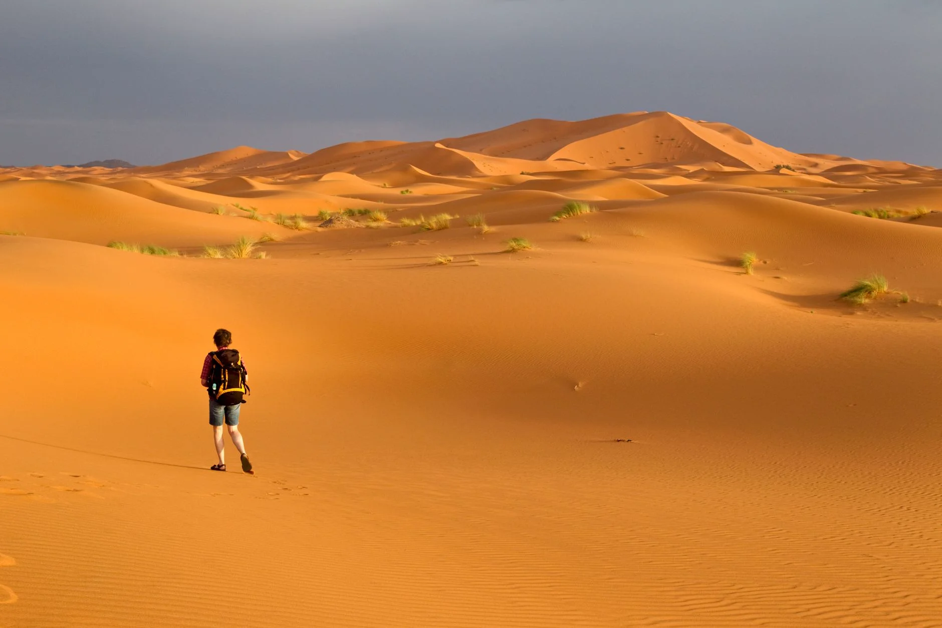 4 Days Tour from Marrakech to Fes Sahara Trip