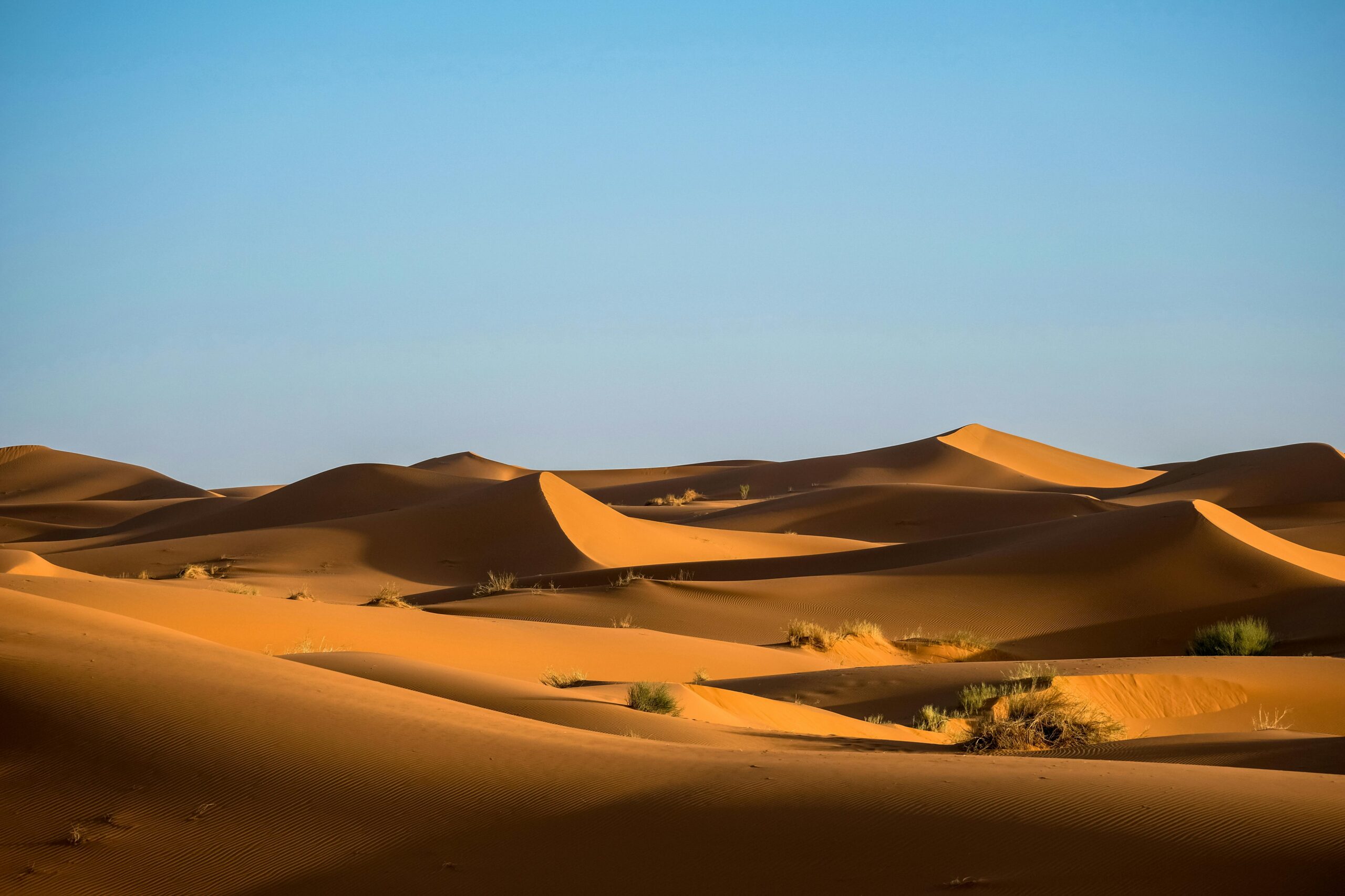 Unique Fes to Marrakech Desert Tour 4 Days Adventure — 3
