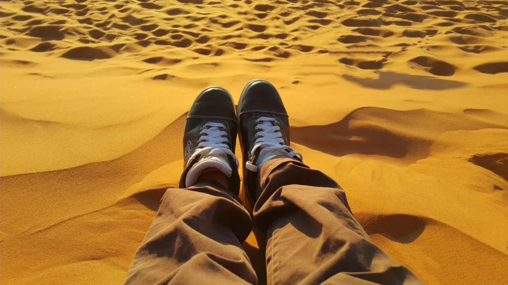 Camel caravan crossing the golden dunes of the Sahara at golden hour