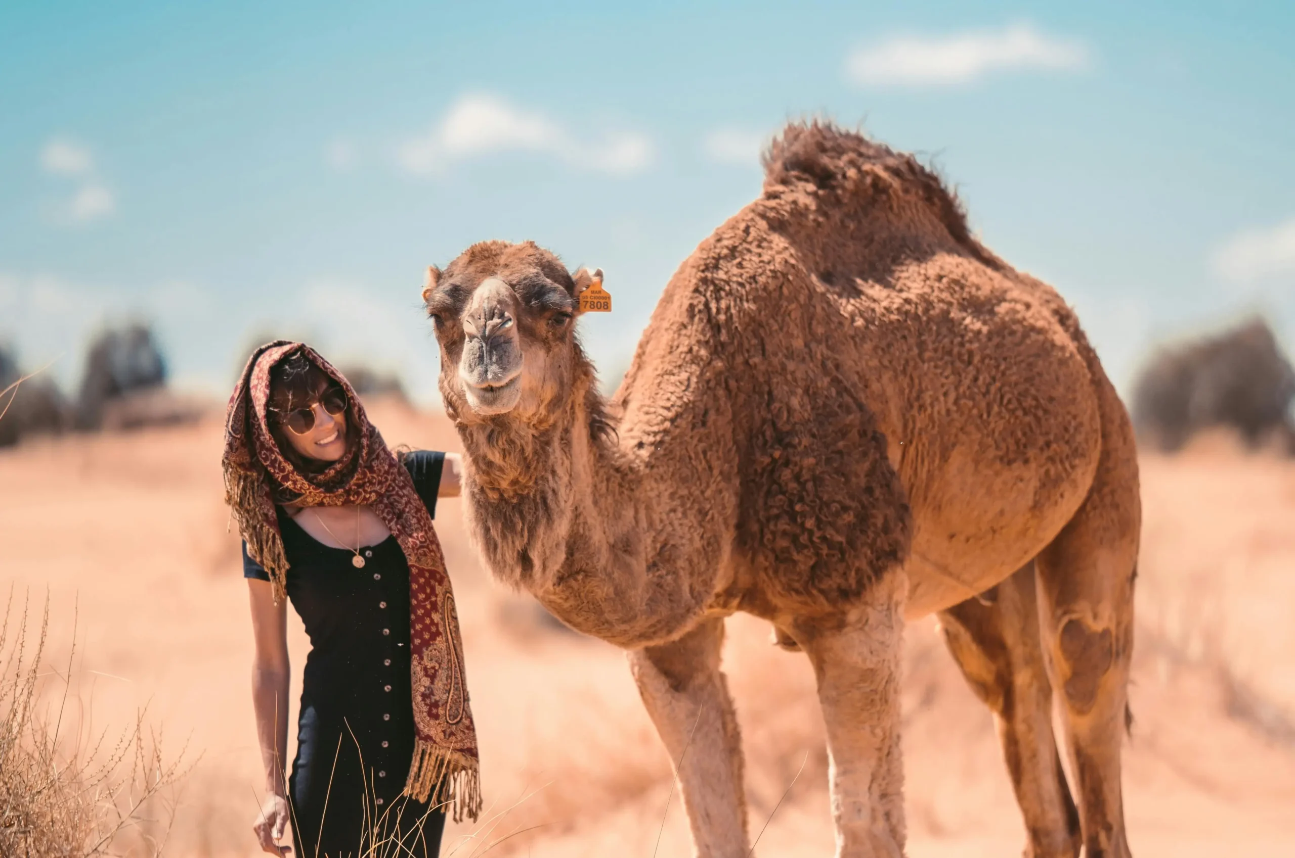 Captivating 5 Days Fez Marrakech Desert Tour — 4