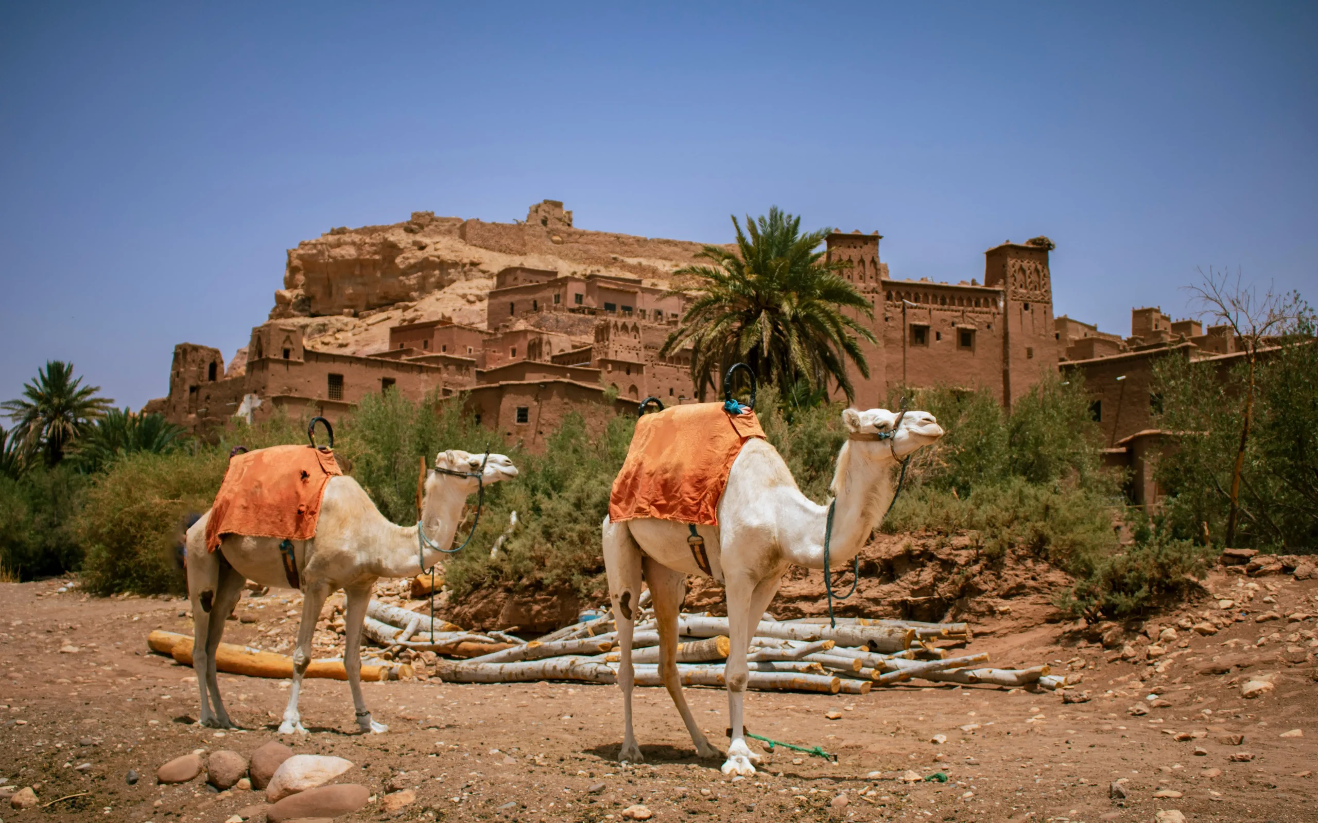 Authentic 3 Days Tour from Marrakech to Merzouga — 4