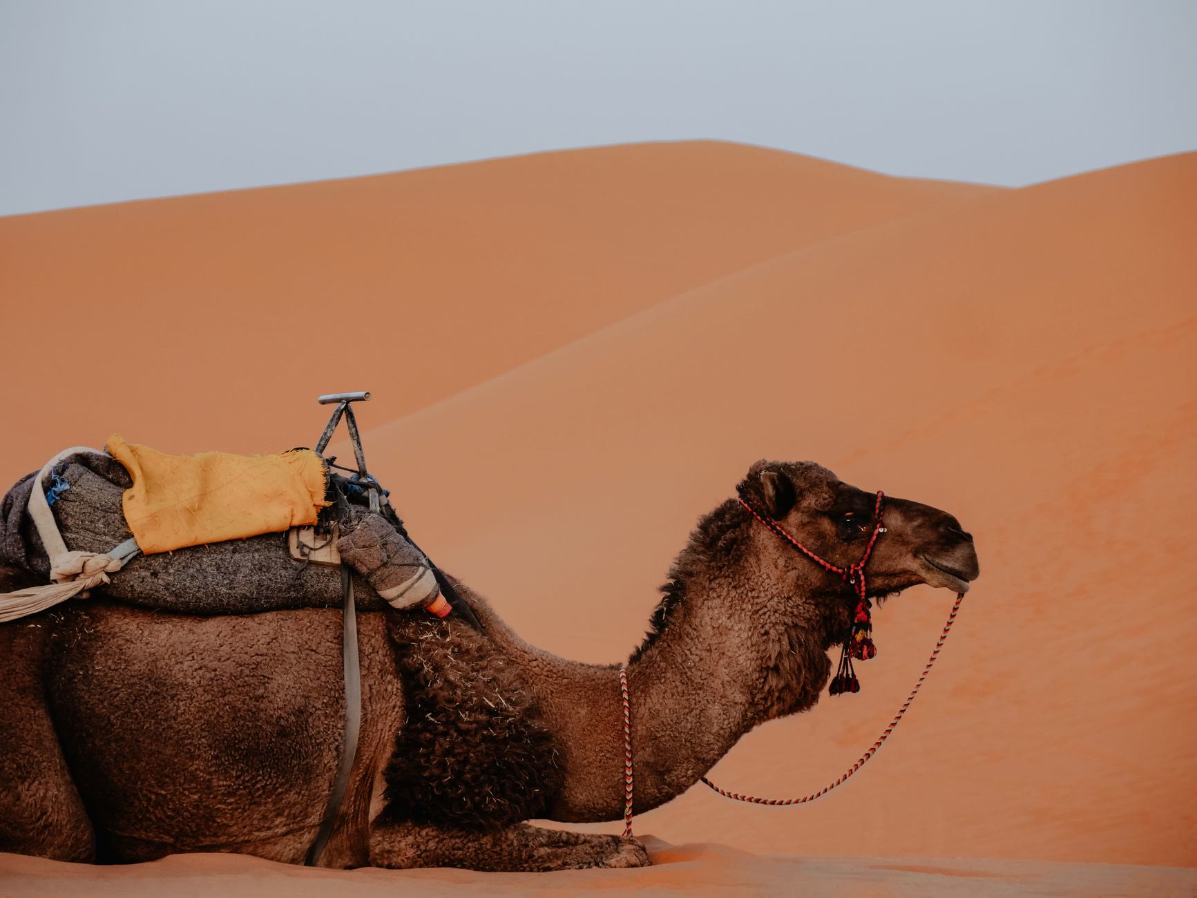 Morocco Luxury Tour Operators 2026