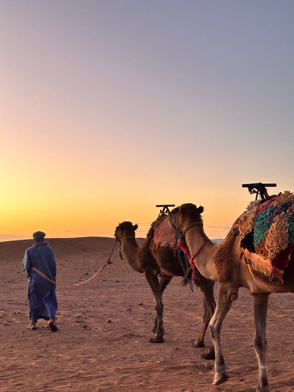 Camel Trekking at Sunset & Sunrise