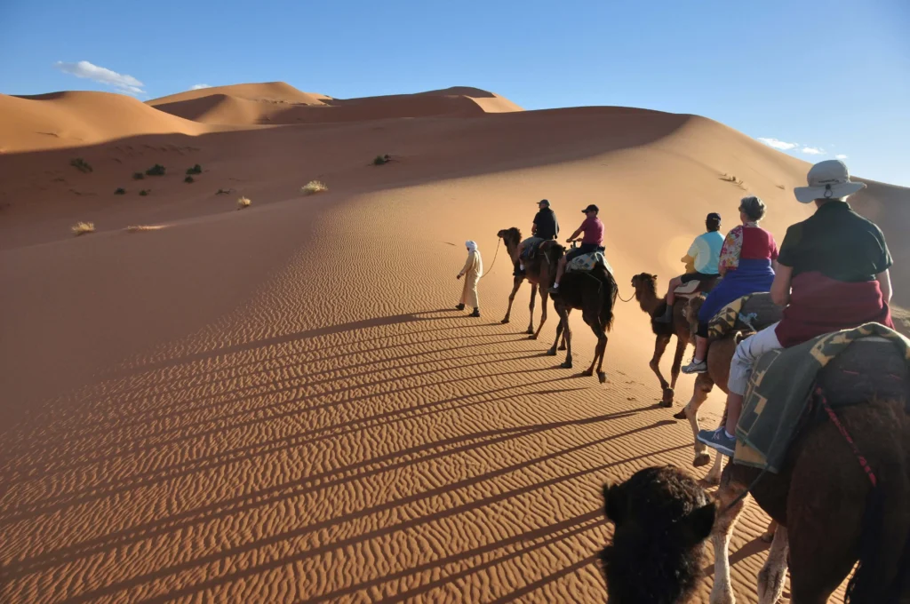 Camel caravan crossing a Sahara dune