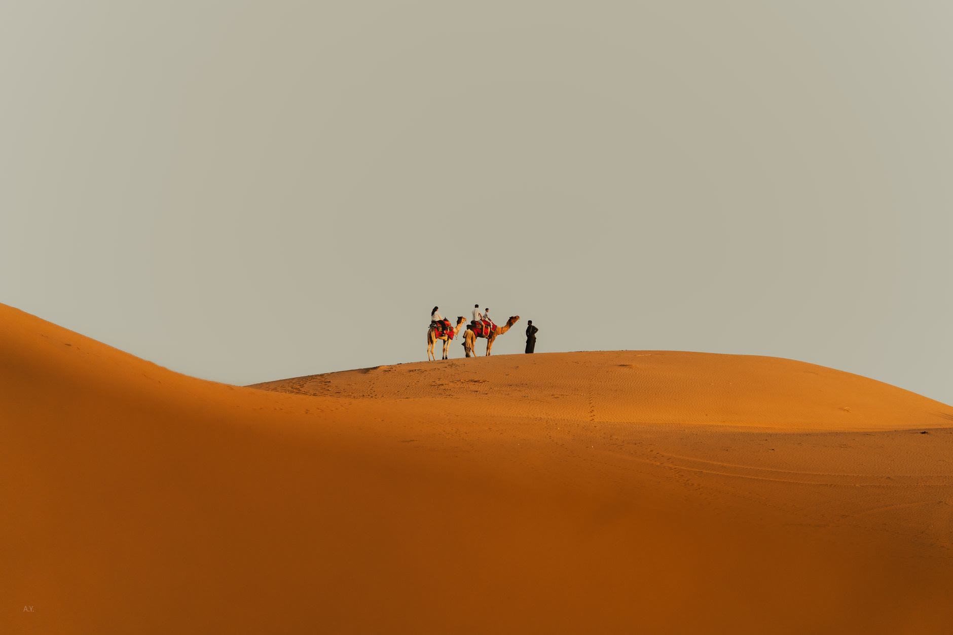 Luxury tents arranged in a desert camp