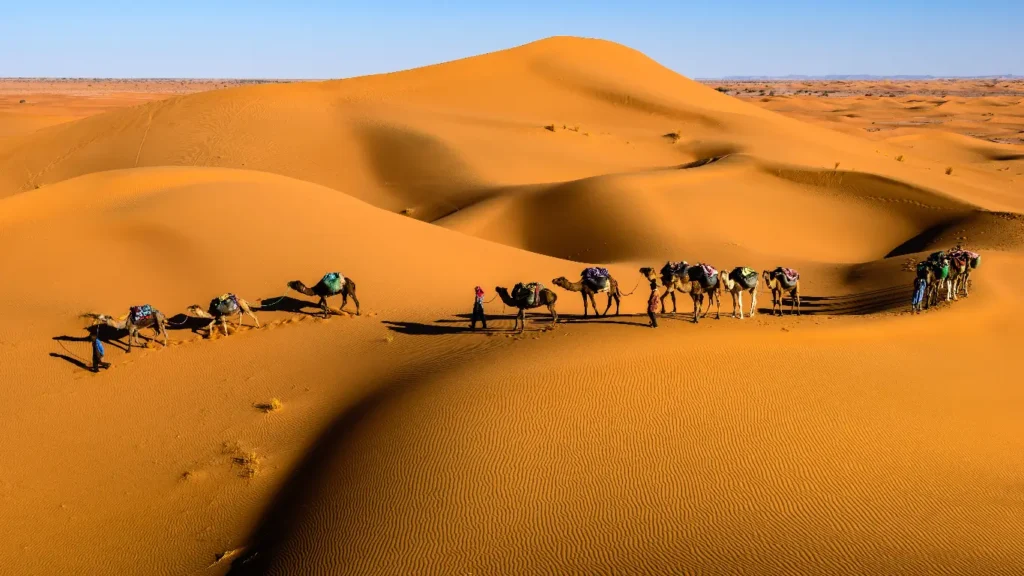 A Moroccan desert camp glowing at dusk